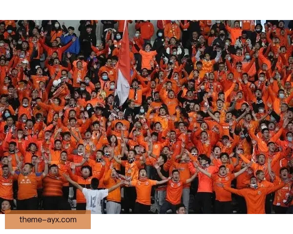 沃尔夫斯堡俱乐部最新动态引发球迷热议阵容调整成焦点