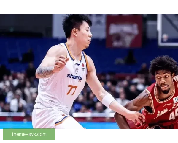 辽宁CBA球员张镇麟外线投篮表现与稳定性深度分析